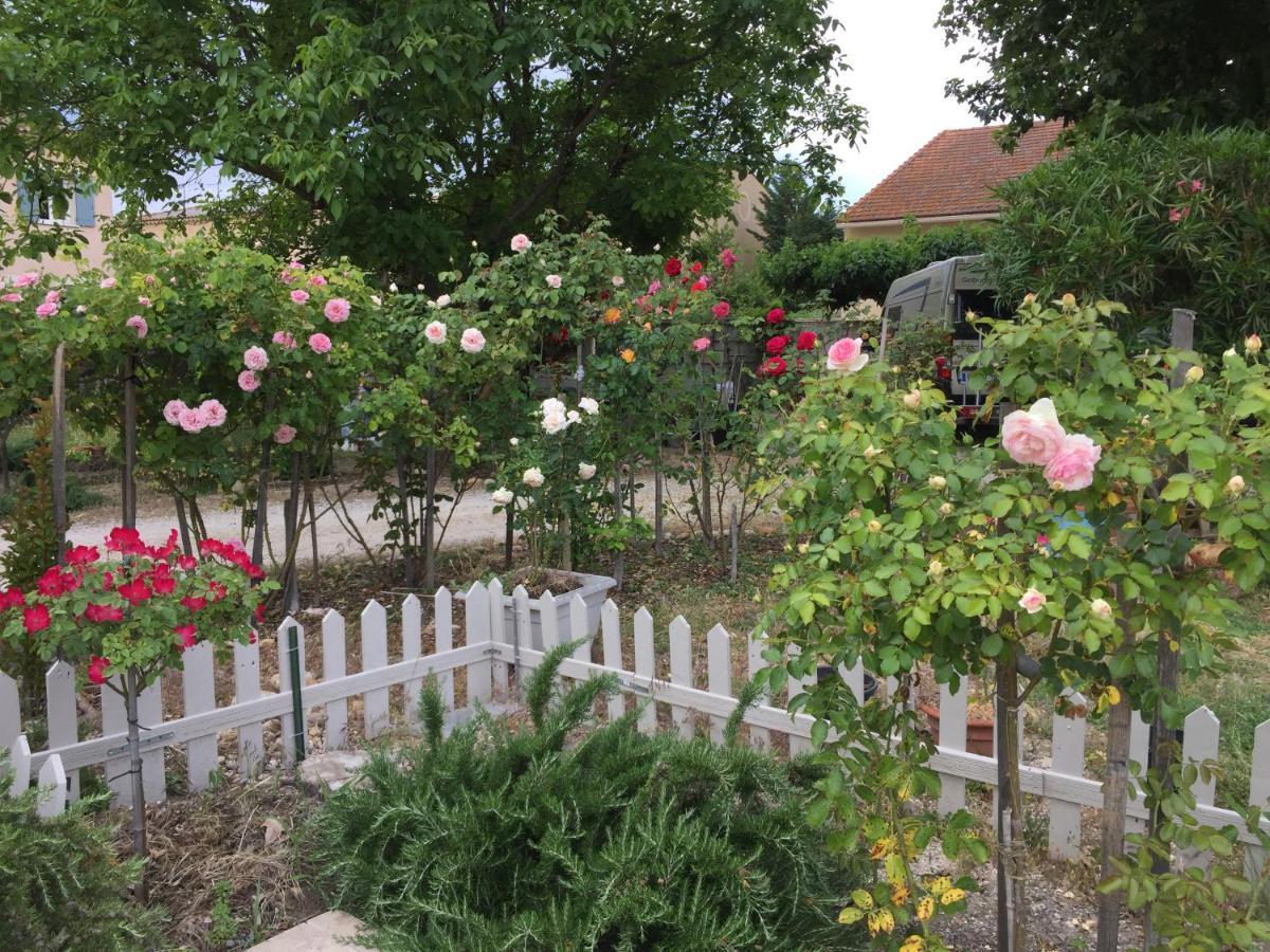 La Ferme De Tonton Jules Et Mame Julia Bed & Breakfast Entraigues-sur-la-Sorgue ภายนอก รูปภาพ