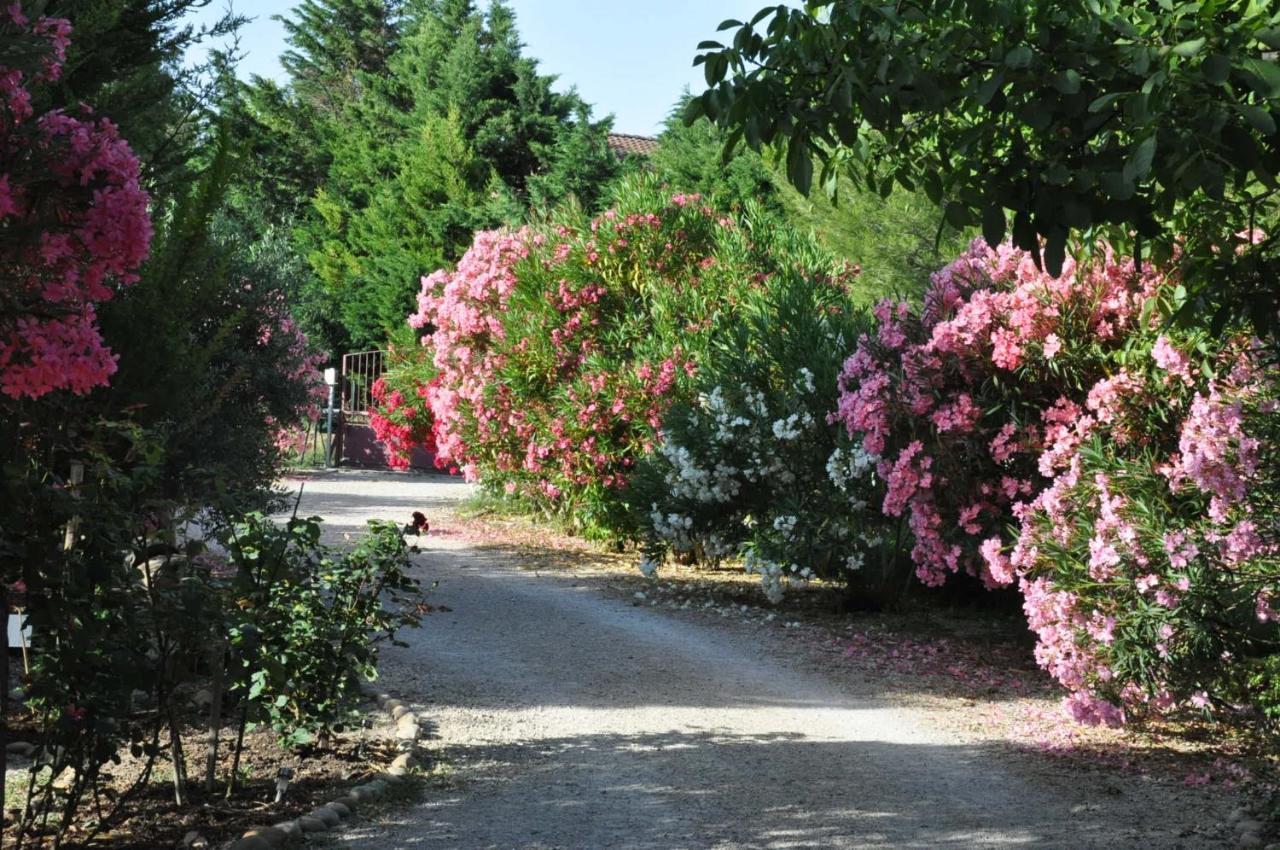 La Ferme De Tonton Jules Et Mame Julia Bed & Breakfast Entraigues-sur-la-Sorgue ภายนอก รูปภาพ